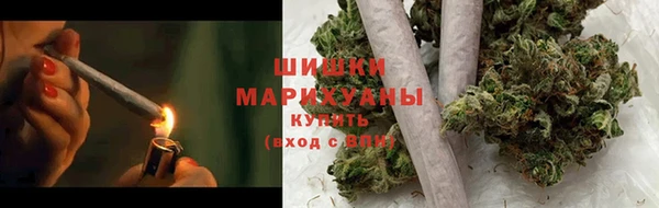 бошки Богданович